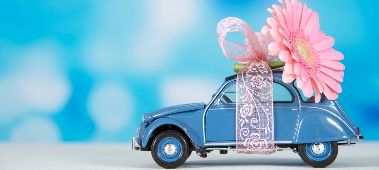 Car Donation MN